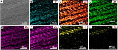 Characteristics of Lithofacies Combinations and Reservoir Property of Carbonate-Rich Shale in Dongying Depression, Eastern China